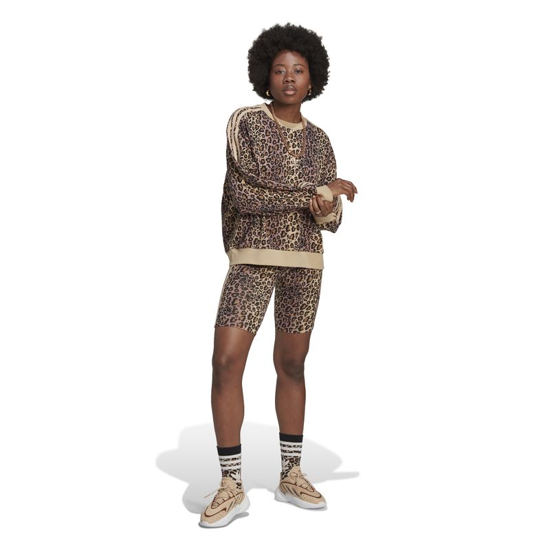 img12250