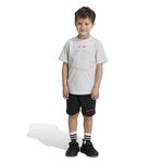 img12399