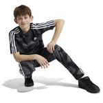 img12897