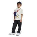 img13796