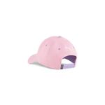 puma-comic-cap_025423-07_2.jpg