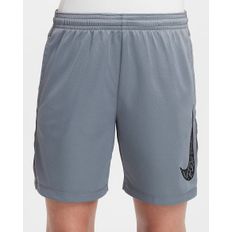 SHORT NIKE DRI FIT TROPHY 23 NIÑO GRIS FZ5034-084