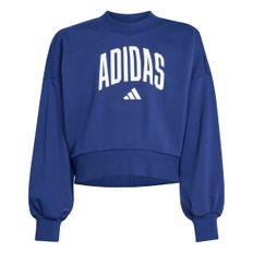 SUDADERO ADIDAS SEASONAL JUVENIL F AZUL JM1535